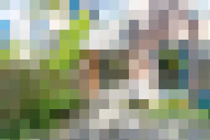 Petrus Campersingel 31 52 Groningen thumbnail 30