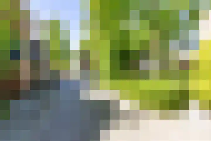 Petrus Campersingel 31 52 Groningen thumbnail 5