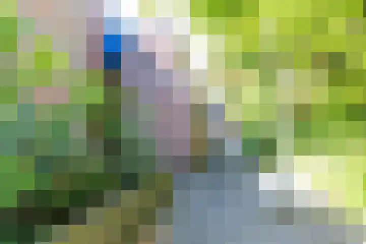 Petrus Campersingel 31 52 Groningen thumbnail 8