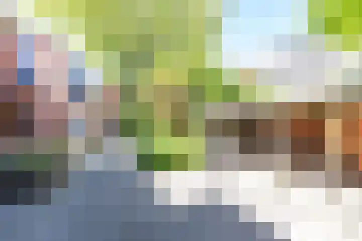 Petrus Campersingel 31 52 Groningen thumbnail 9