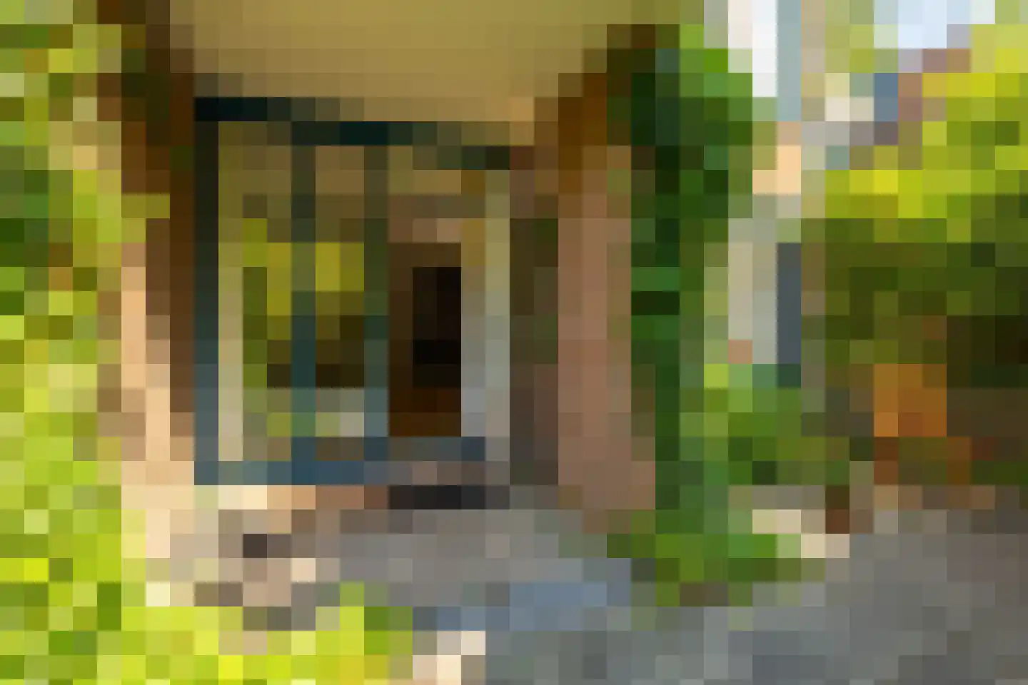 Petrus Campersingel 31 57 Groningen thumbnail 19