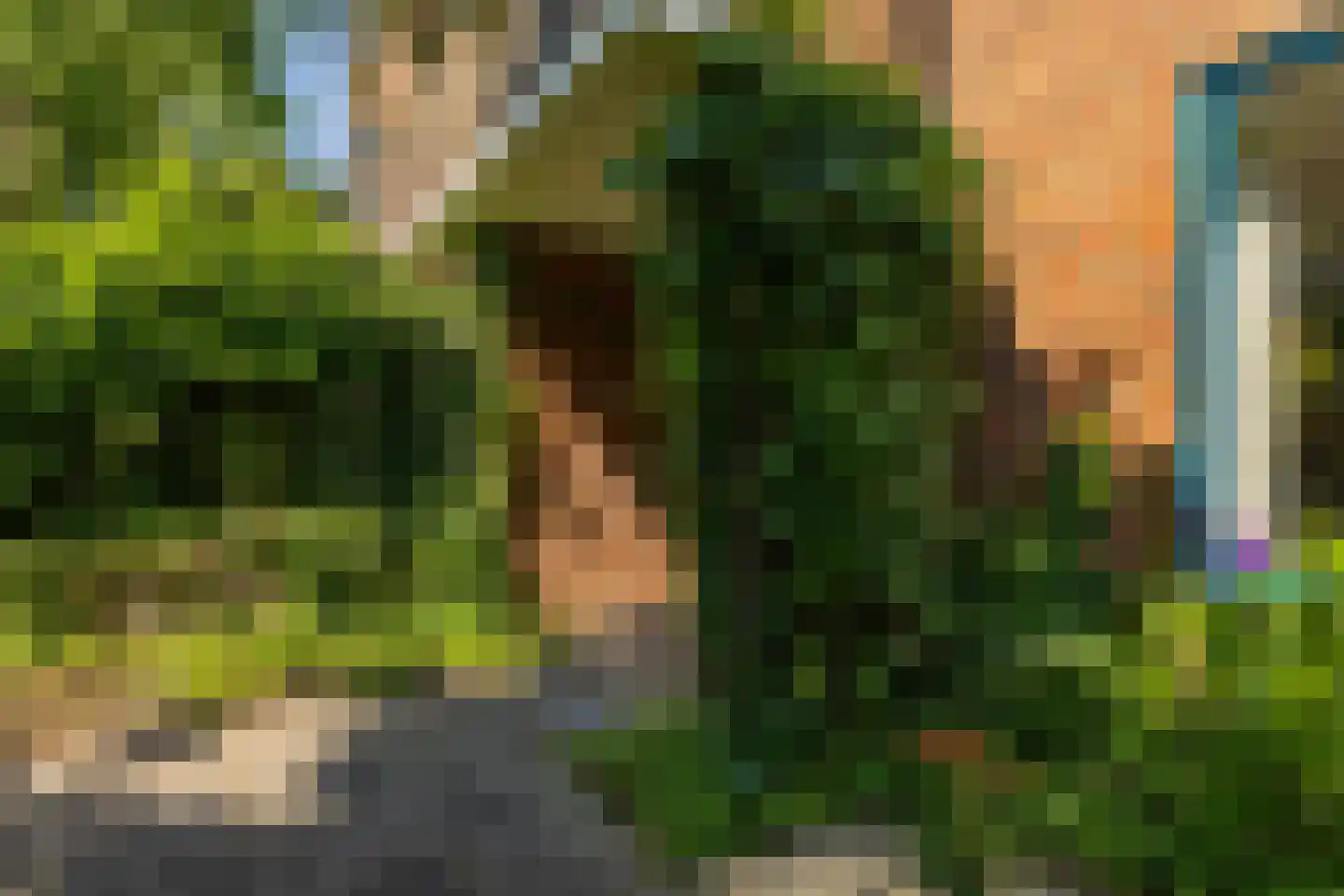Petrus Campersingel 31 57 Groningen thumbnail 22