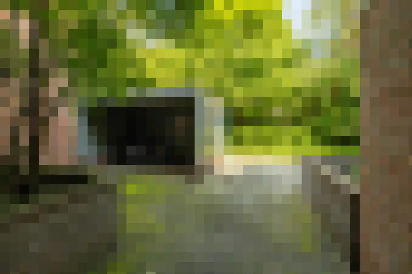 Petrus Campersingel 31 57 Groningen thumbnail 30