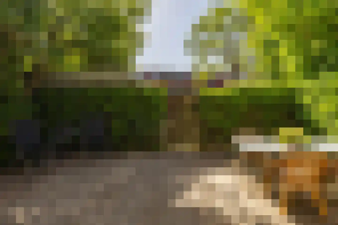 Petrus Campersingel 31 62 Groningen thumbnail 26