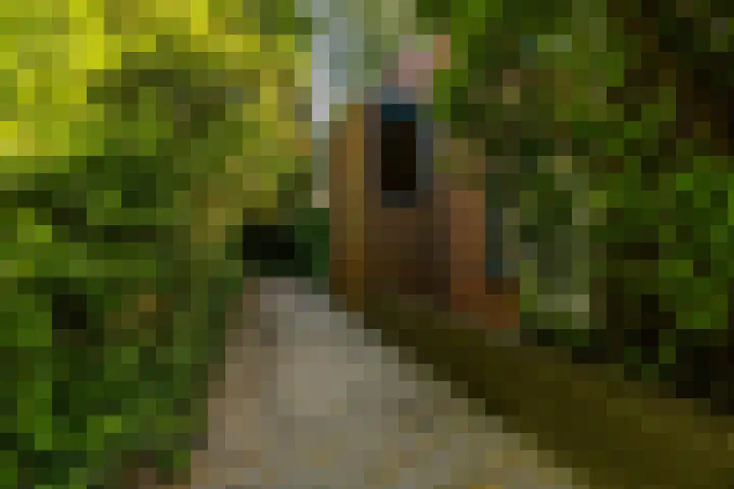 Petrus Campersingel 31 62 Groningen thumbnail 33