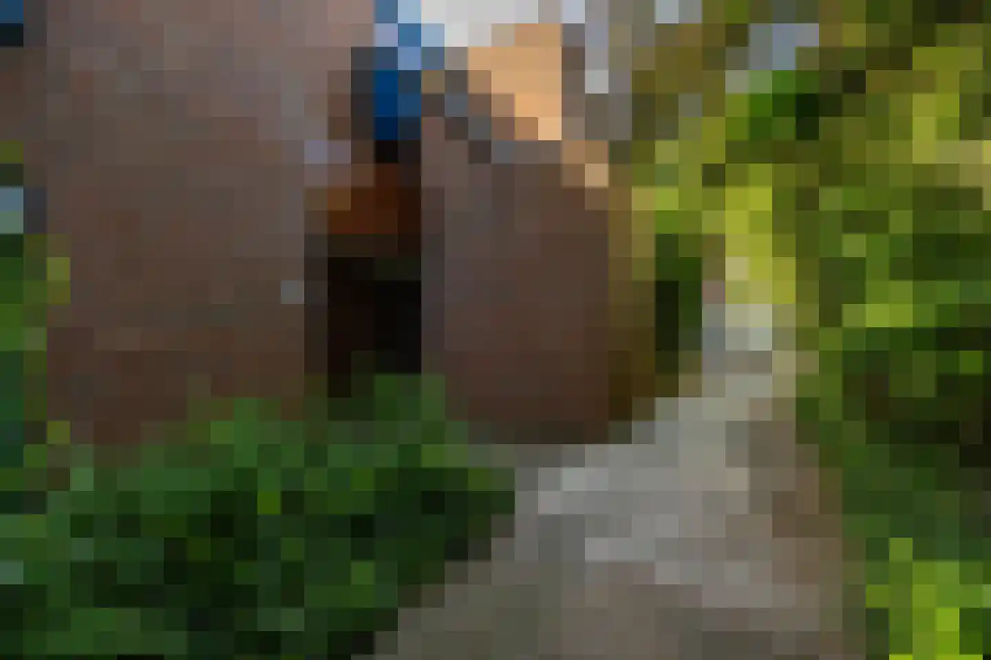 Petrus Campersingel 31 62 Groningen thumbnail 34