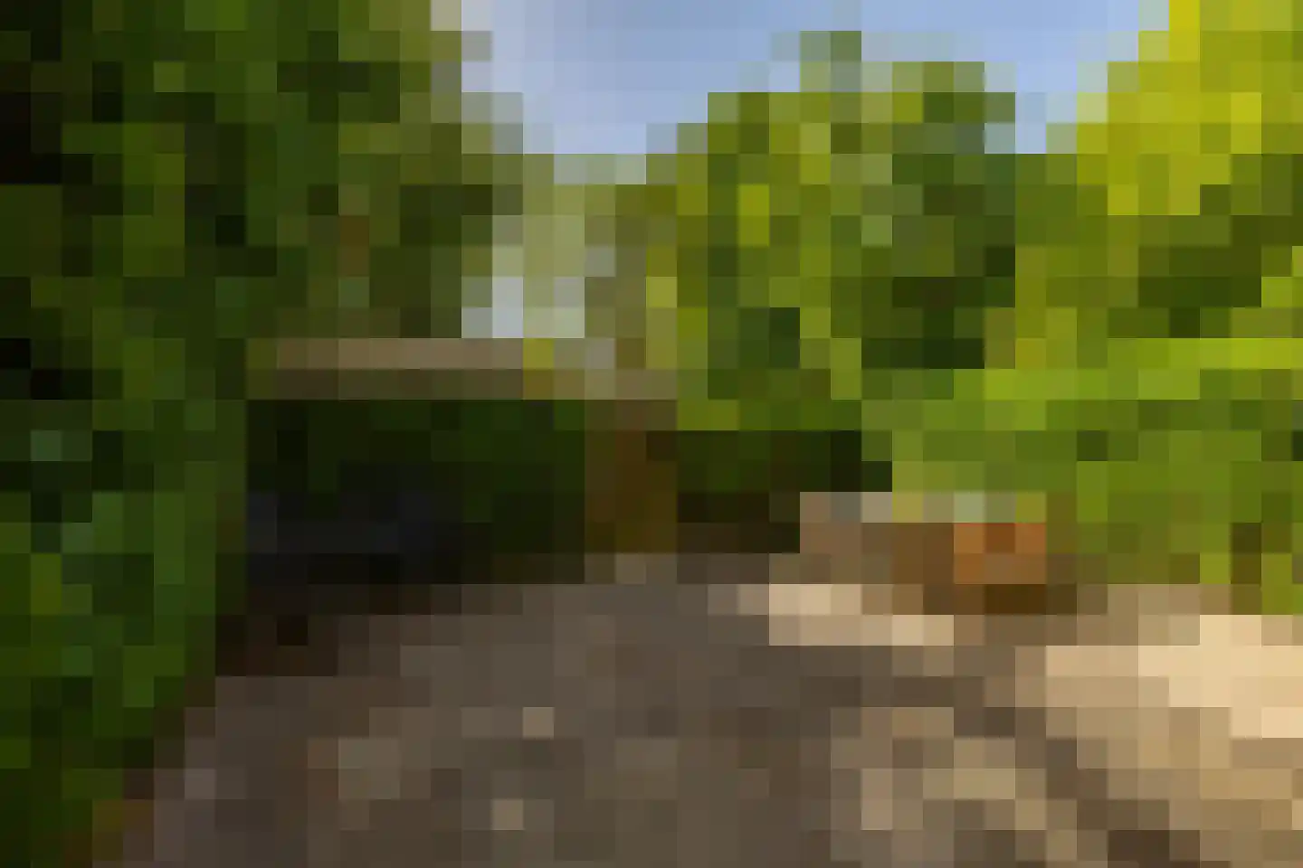Petrus Campersingel 31 62 Groningen thumbnail 4
