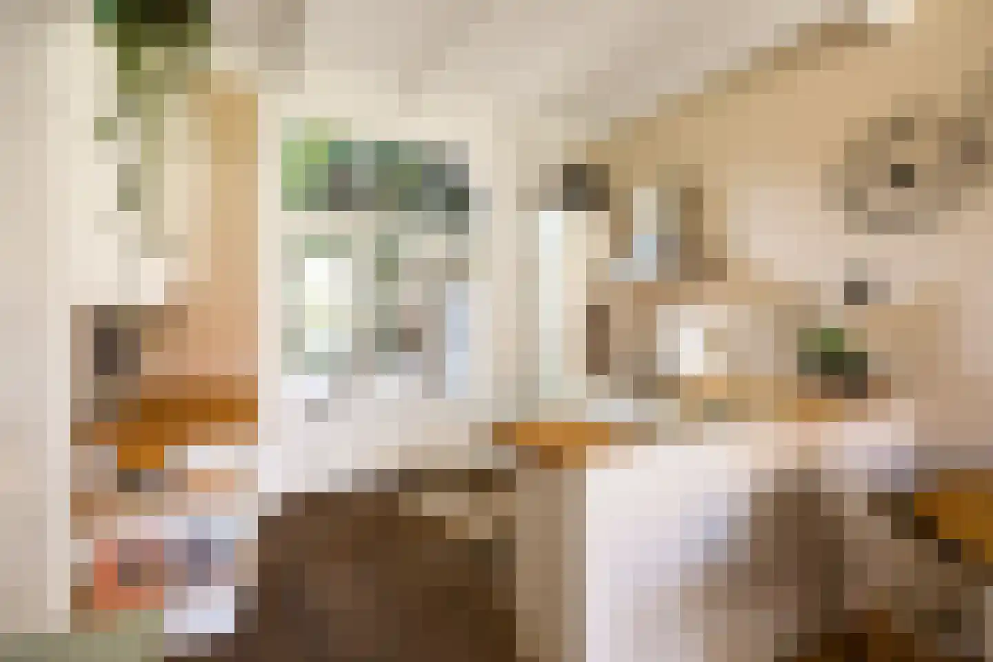 Petrus Campersingel 51 Groningen thumbnail 13