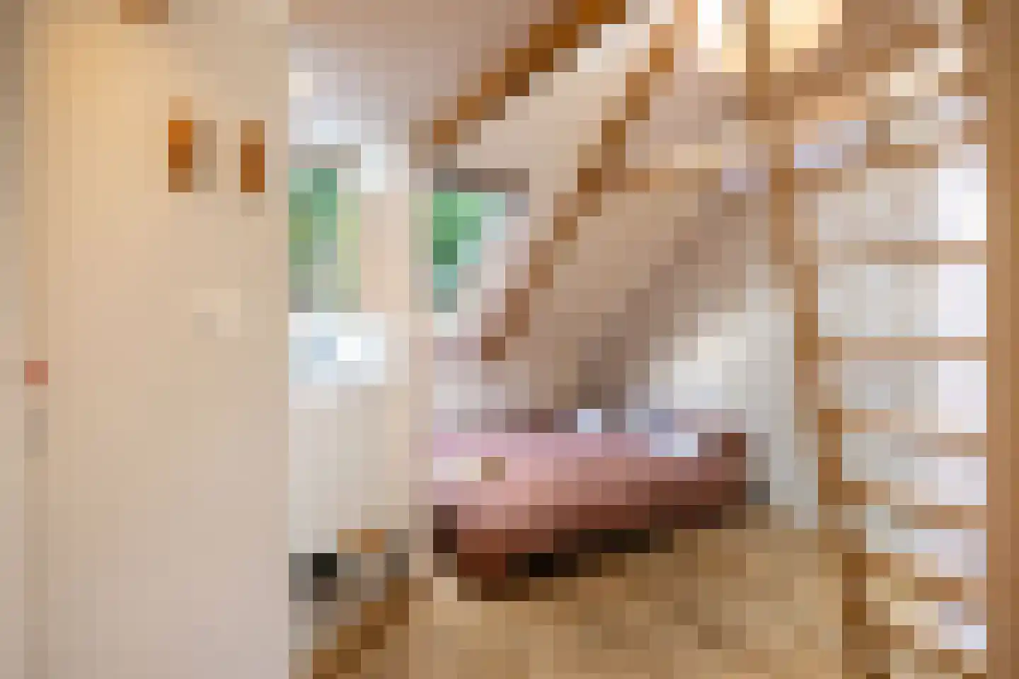 Petrus Campersingel 51 Groningen thumbnail 22