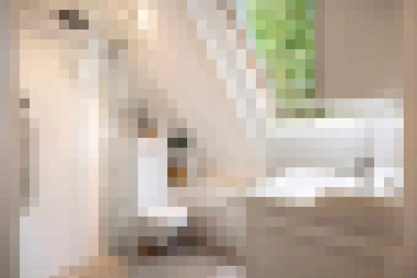 Petrus Campersingel 51 Groningen thumbnail 27