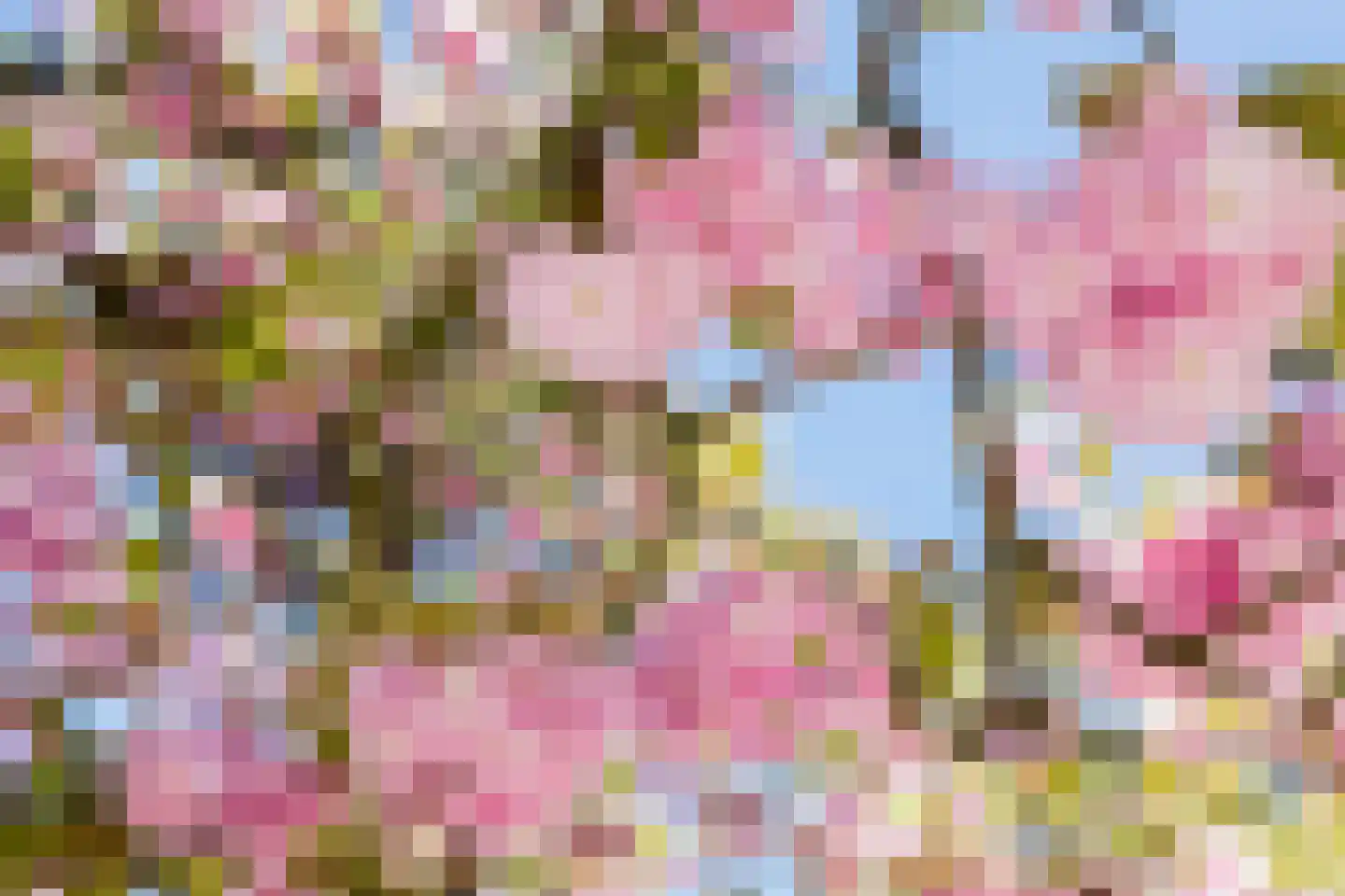 Petrus Campersingel 79 Groningen thumbnail 34