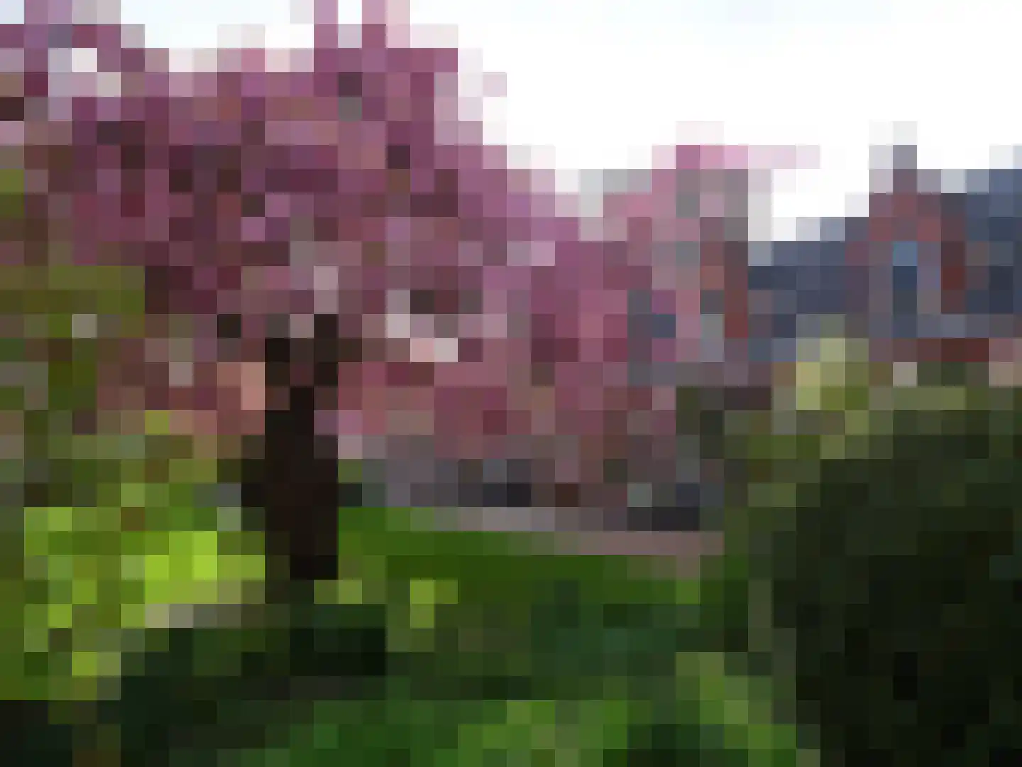 Petrus Campersingel 79 Groningen thumbnail 36