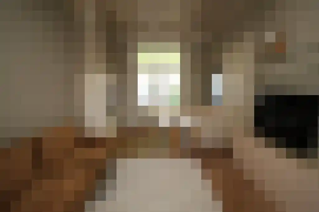 Petrus Campersingel 99 Groningen thumbnail 6