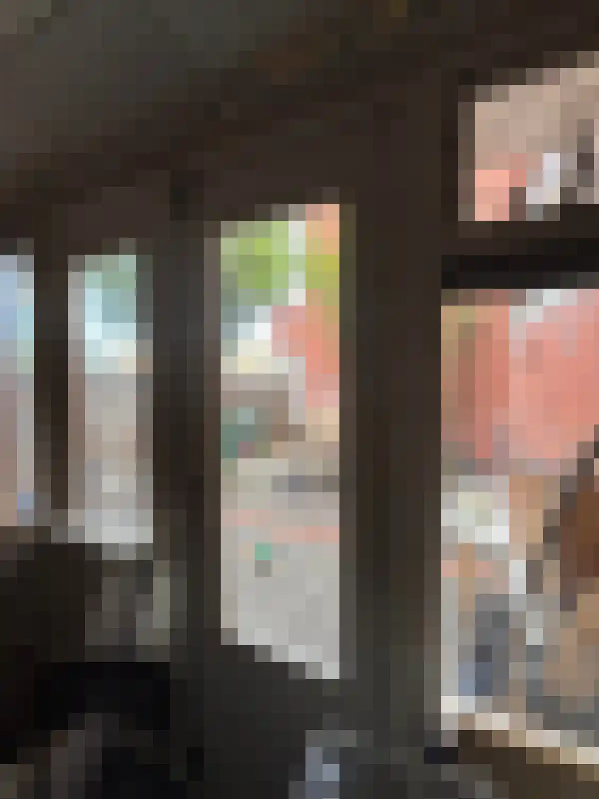 Petrus Campersingel Groningen thumbnail 6