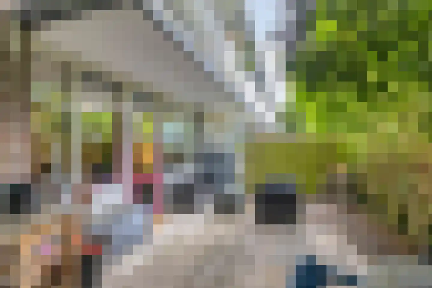 Petrus Canisiusstraat 7 Tilburg thumbnail 17