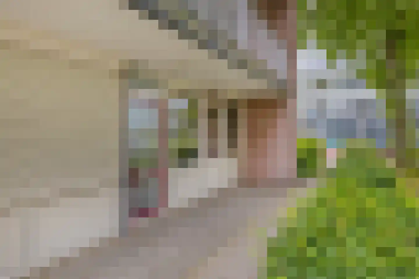 Petrus Canisiusstraat 7 Tilburg thumbnail 5