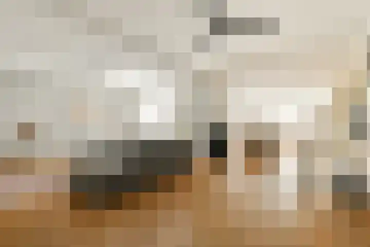 Petrus de Blockstraat 5 Zandvoort thumbnail 13