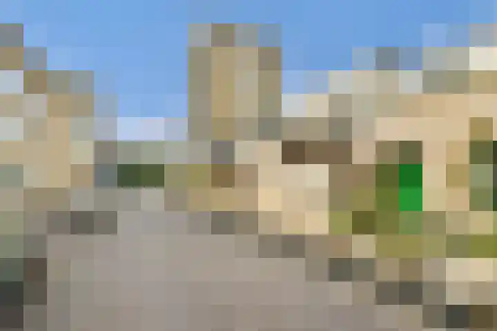 Petrus de Blockstraat 5 Zandvoort thumbnail 5