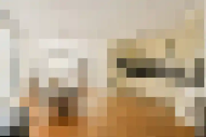 Petrus de Blockstraat 5 Zandvoort thumbnail 7
