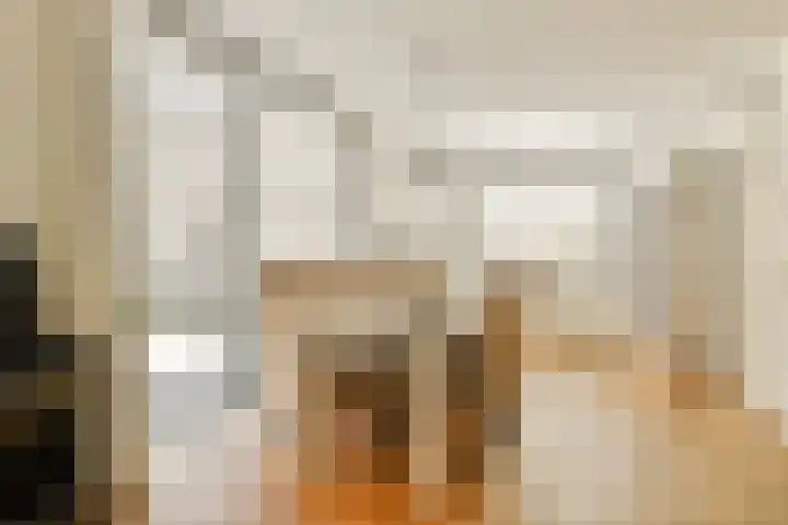 Petrus de Blockstraat 5 Zandvoort thumbnail 8