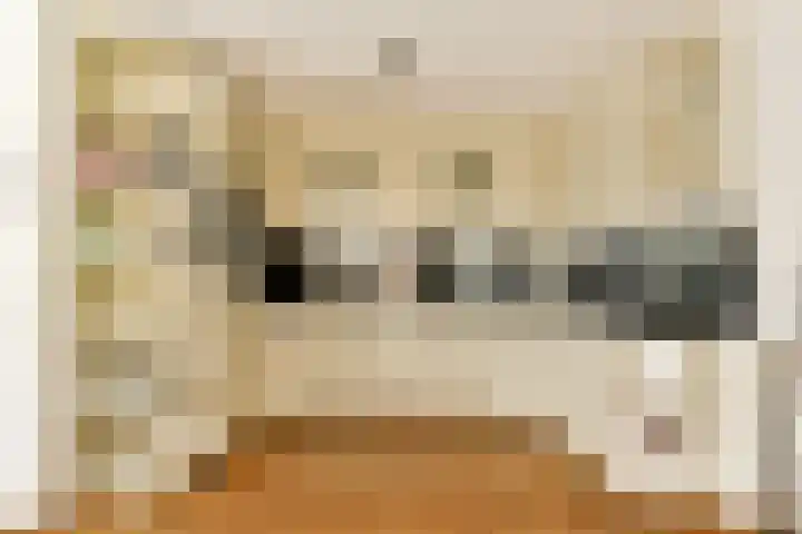 Petrus de Blockstraat 5 Zandvoort thumbnail 9