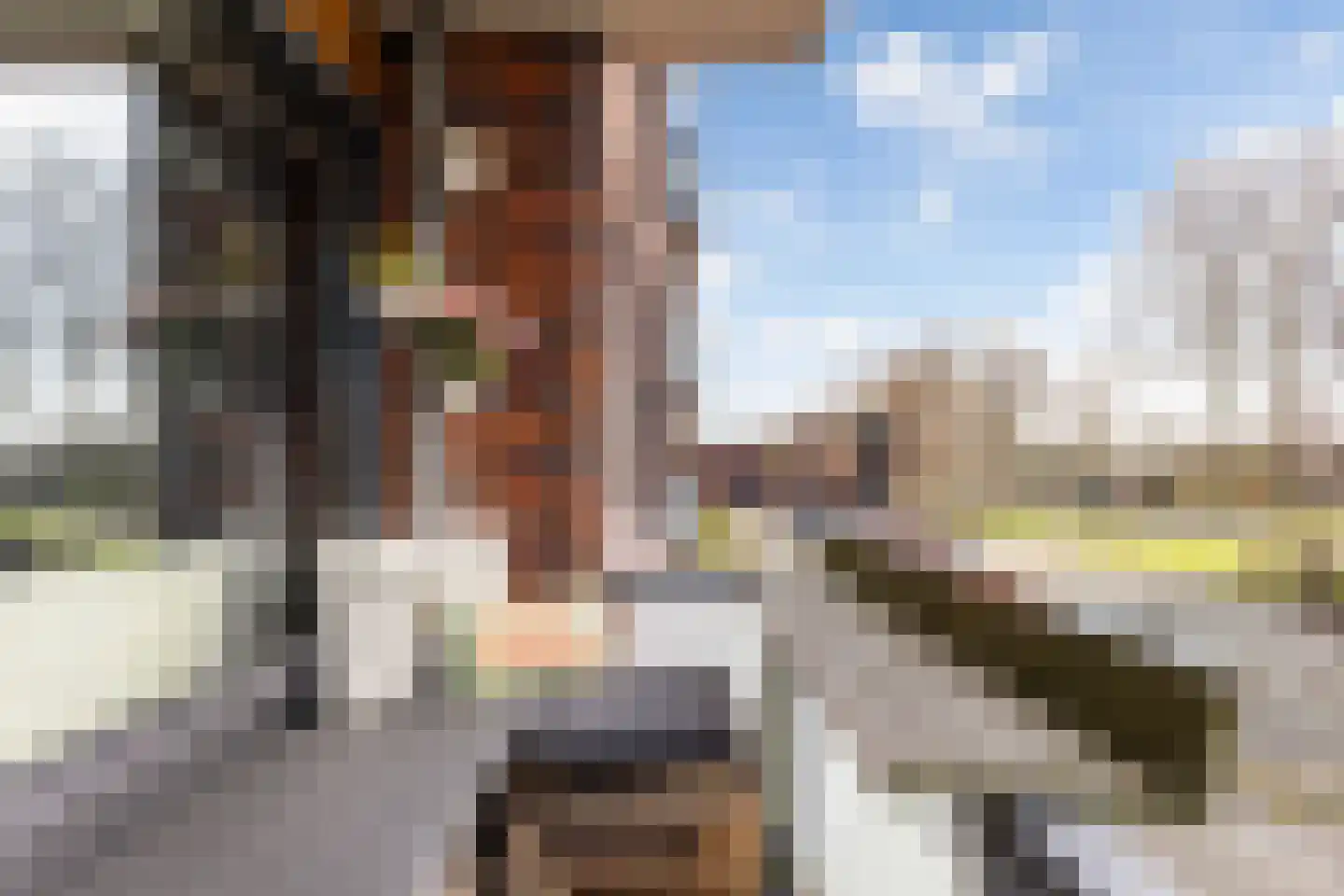 Petrus de Pagterlaan 5 Maassluis thumbnail 4