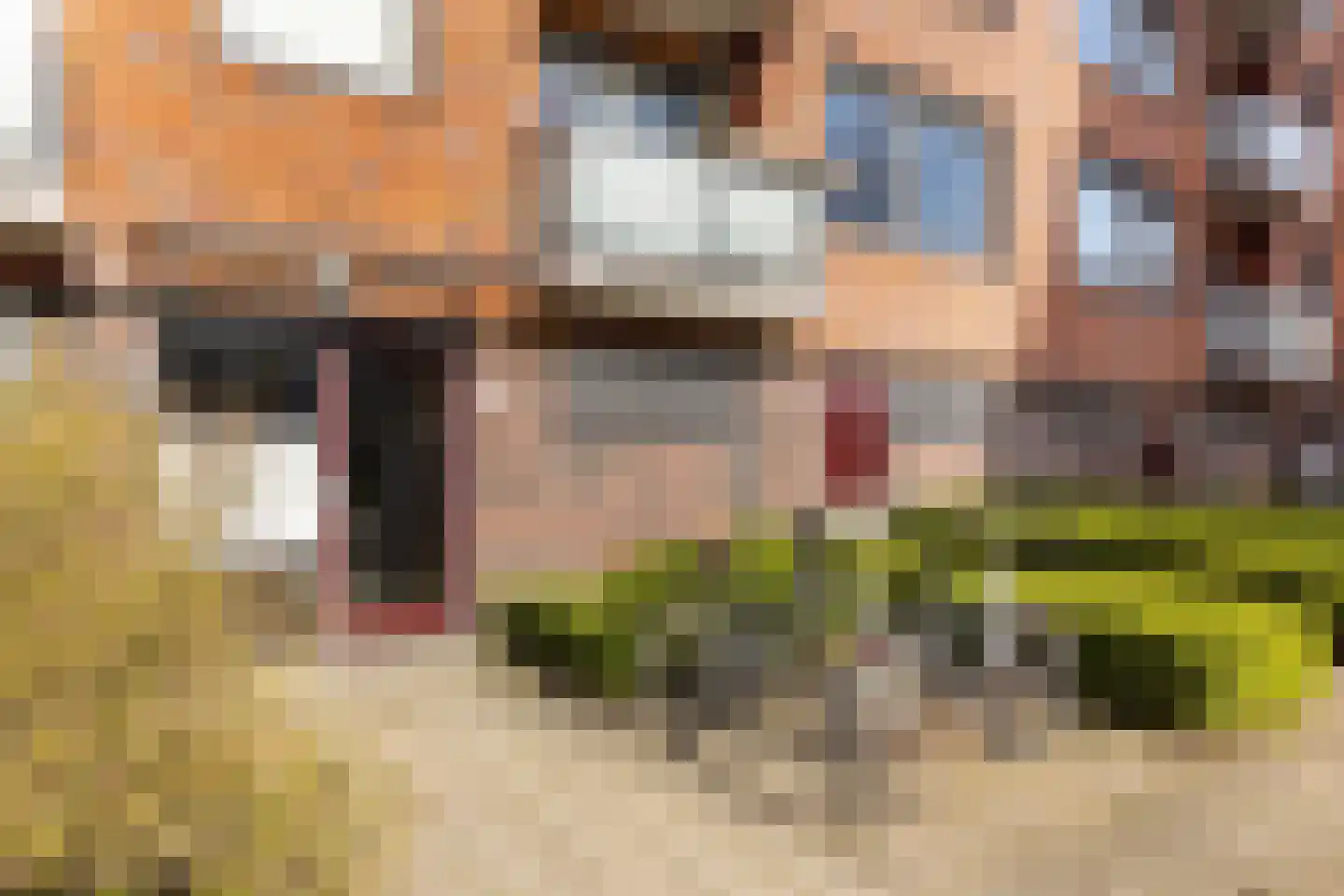 Petrus de Pagterlaan 5 Maassluis thumbnail 5