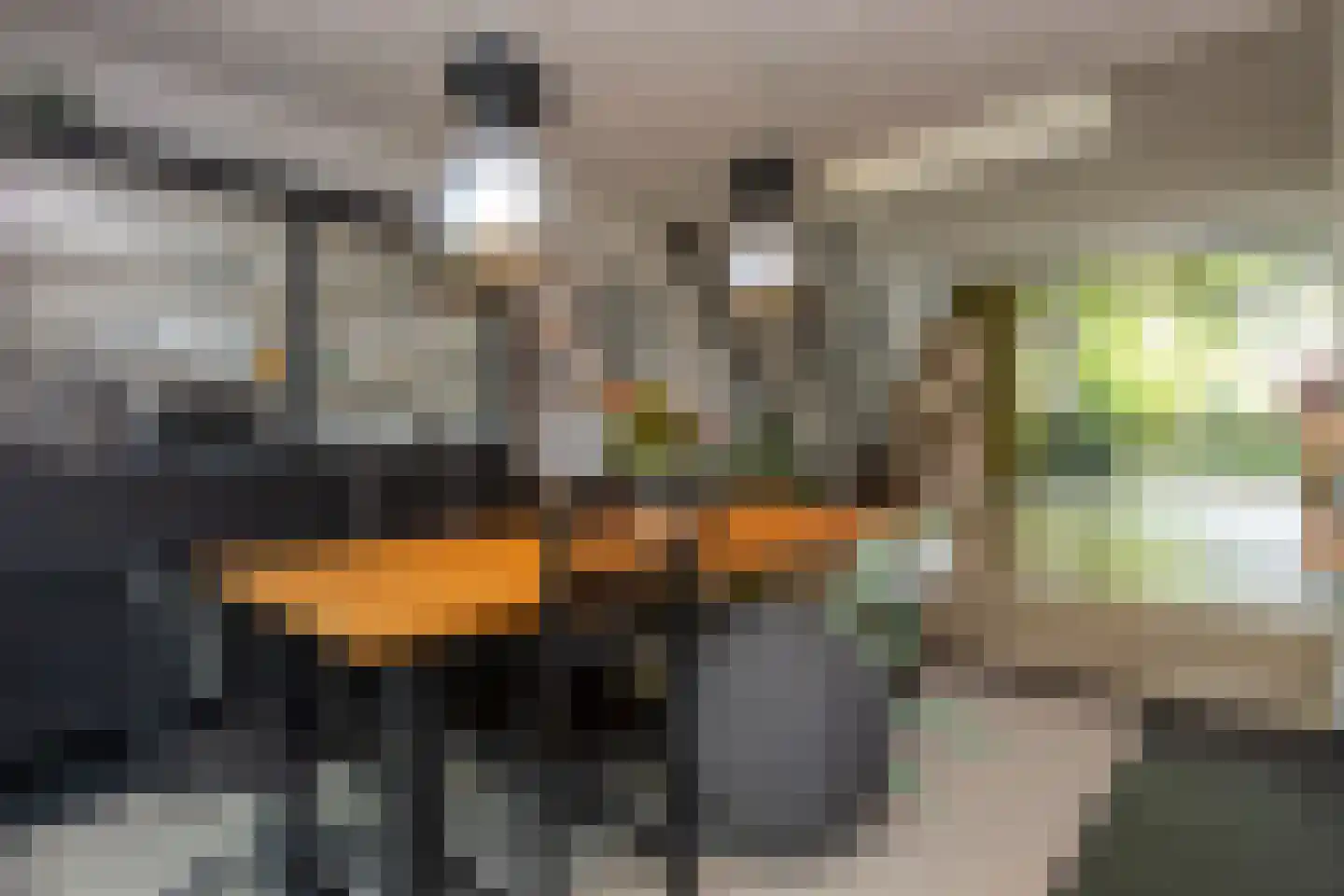 Petrus Debijelaan 10 Berkel-Enschot thumbnail 14
