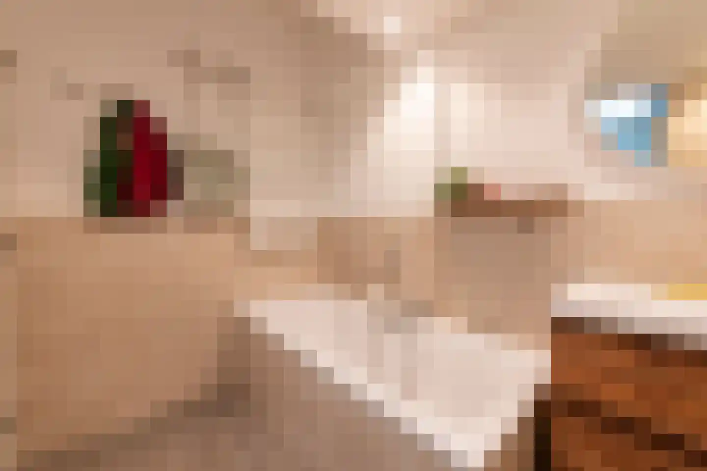 Petrus Debijelaan 10 Berkel-Enschot thumbnail 27