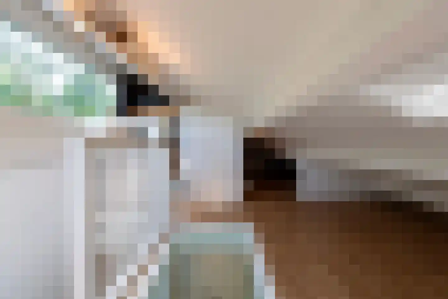 Petrus Debijelaan 10 Berkel-Enschot thumbnail 32