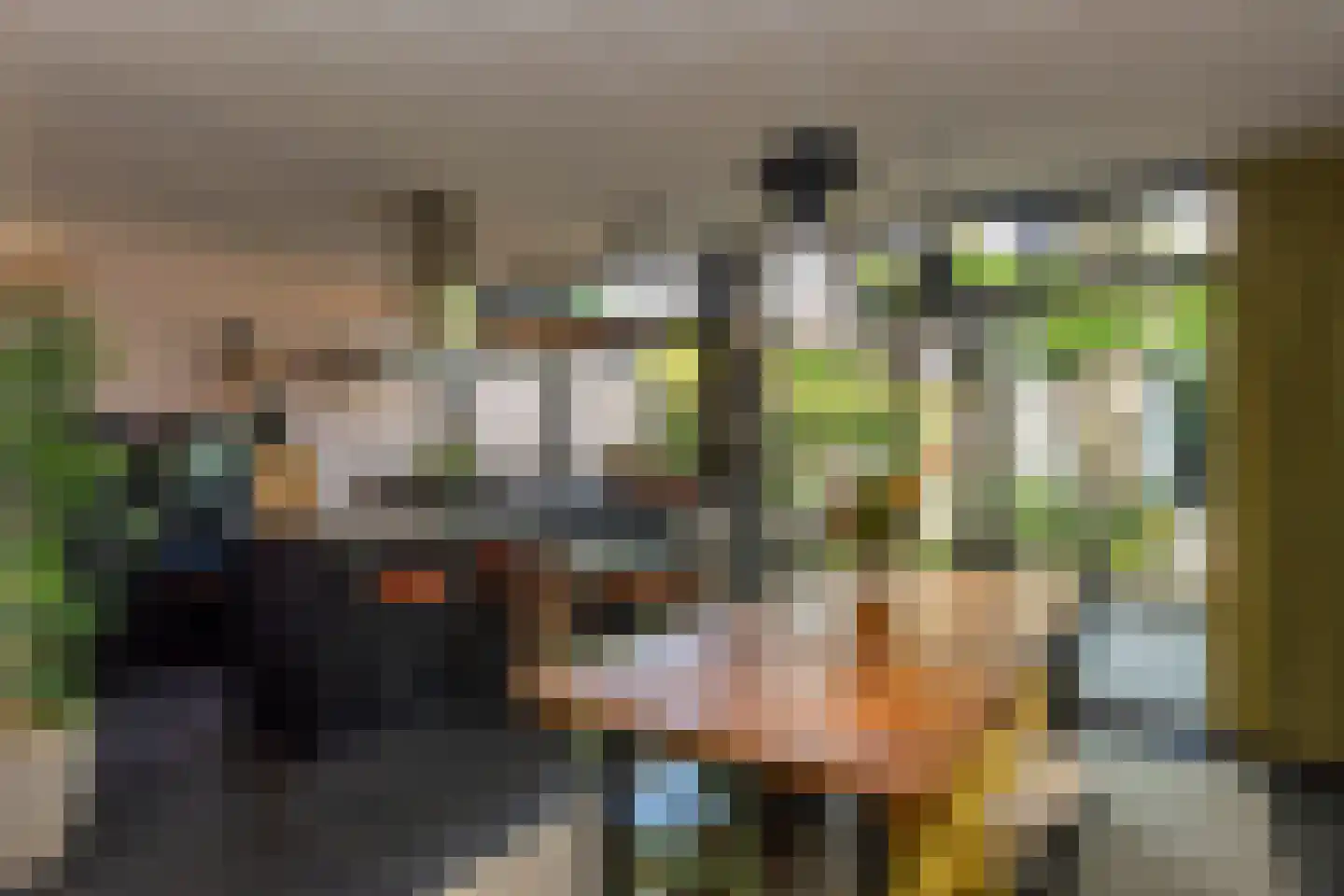 Petrus Debijelaan 10 Berkel-Enschot thumbnail 4