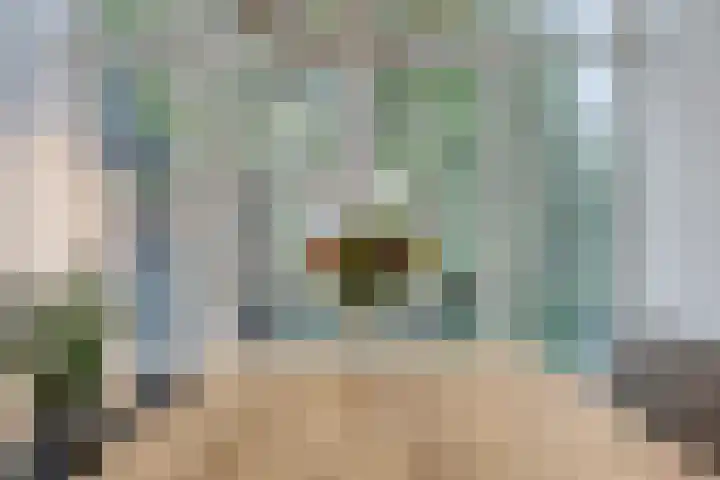 Petrus Dondersstraat 109 Eindhoven thumbnail 13