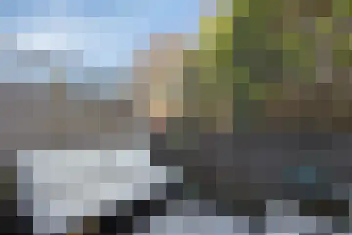 Petrus Dondersstraat 109 Eindhoven thumbnail 17