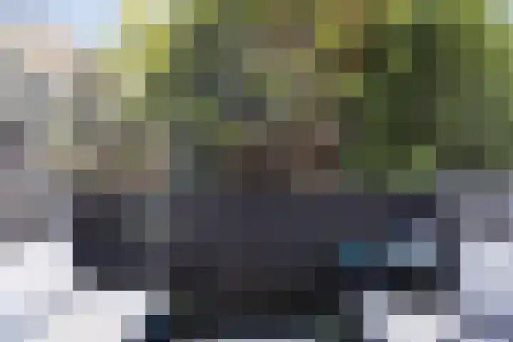 Petrus Dondersstraat 109 Eindhoven thumbnail 18