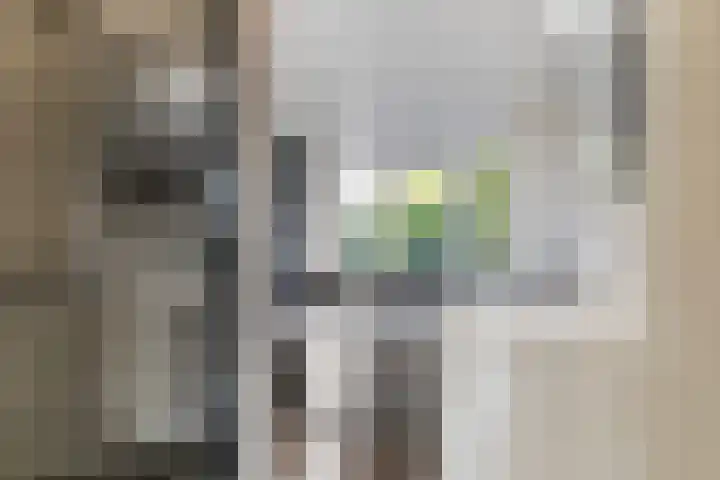 Petrus Dondersstraat 109 Eindhoven thumbnail 22