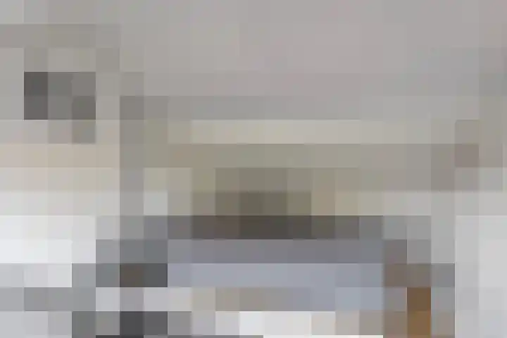 Petrus Dondersstraat 109 Eindhoven thumbnail 29