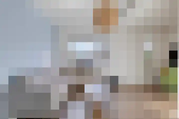 Petrus Dondersstraat 109 Eindhoven thumbnail 7