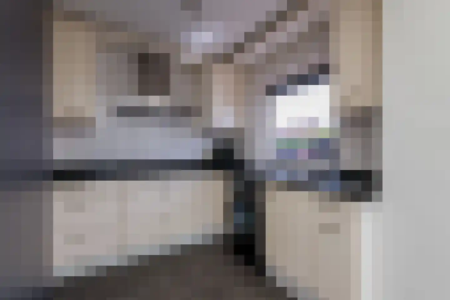 Petrus Dondersstraat 11 Heerlen thumbnail 11