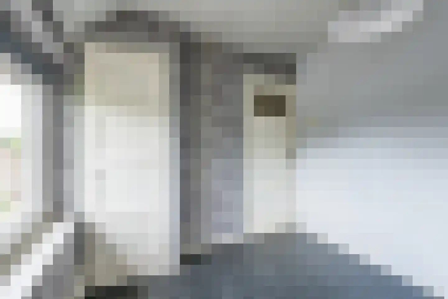 Petrus Dondersstraat 11 Heerlen thumbnail 28