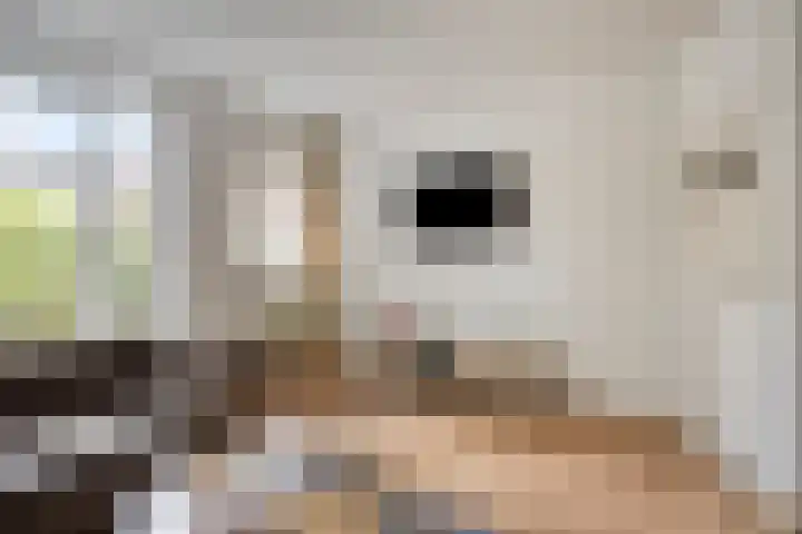 Petrus Dondersstraat 111 Eindhoven thumbnail 10