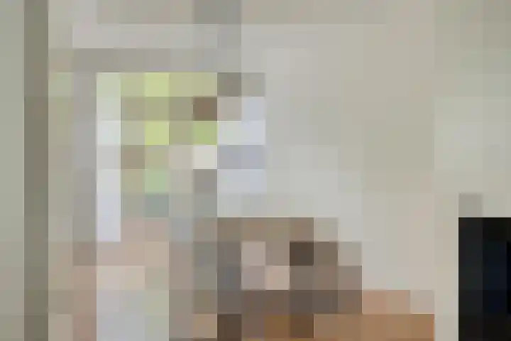 Petrus Dondersstraat 111 Eindhoven thumbnail 13