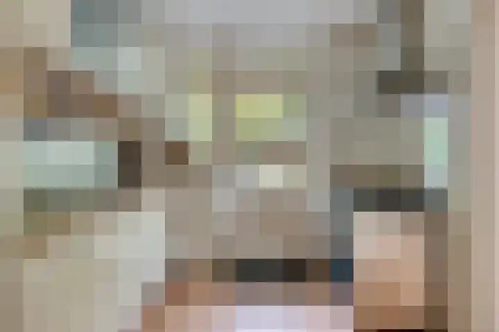 Petrus Dondersstraat 111 Eindhoven thumbnail 16