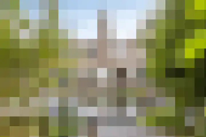 Petrus Dondersstraat 111 Eindhoven thumbnail 22