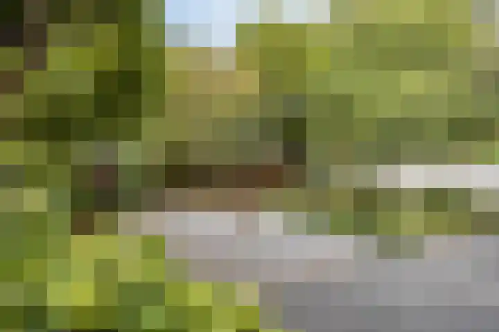 Petrus Dondersstraat 111 Eindhoven thumbnail 24