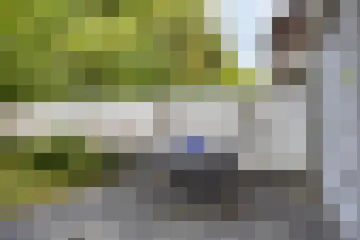 Petrus Dondersstraat 111 Eindhoven thumbnail 25