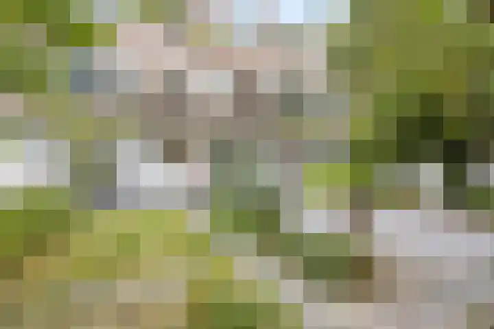 Petrus Dondersstraat 111 Eindhoven thumbnail 26