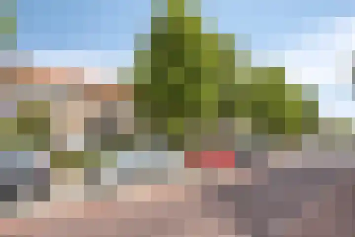 Petrus Dondersstraat 111 Eindhoven thumbnail 27