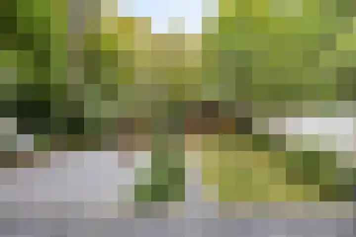 Petrus Dondersstraat 111 Eindhoven thumbnail 5