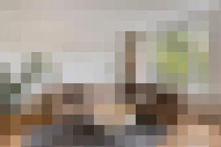Petrus Dondersstraat 111 Eindhoven thumbnail 9