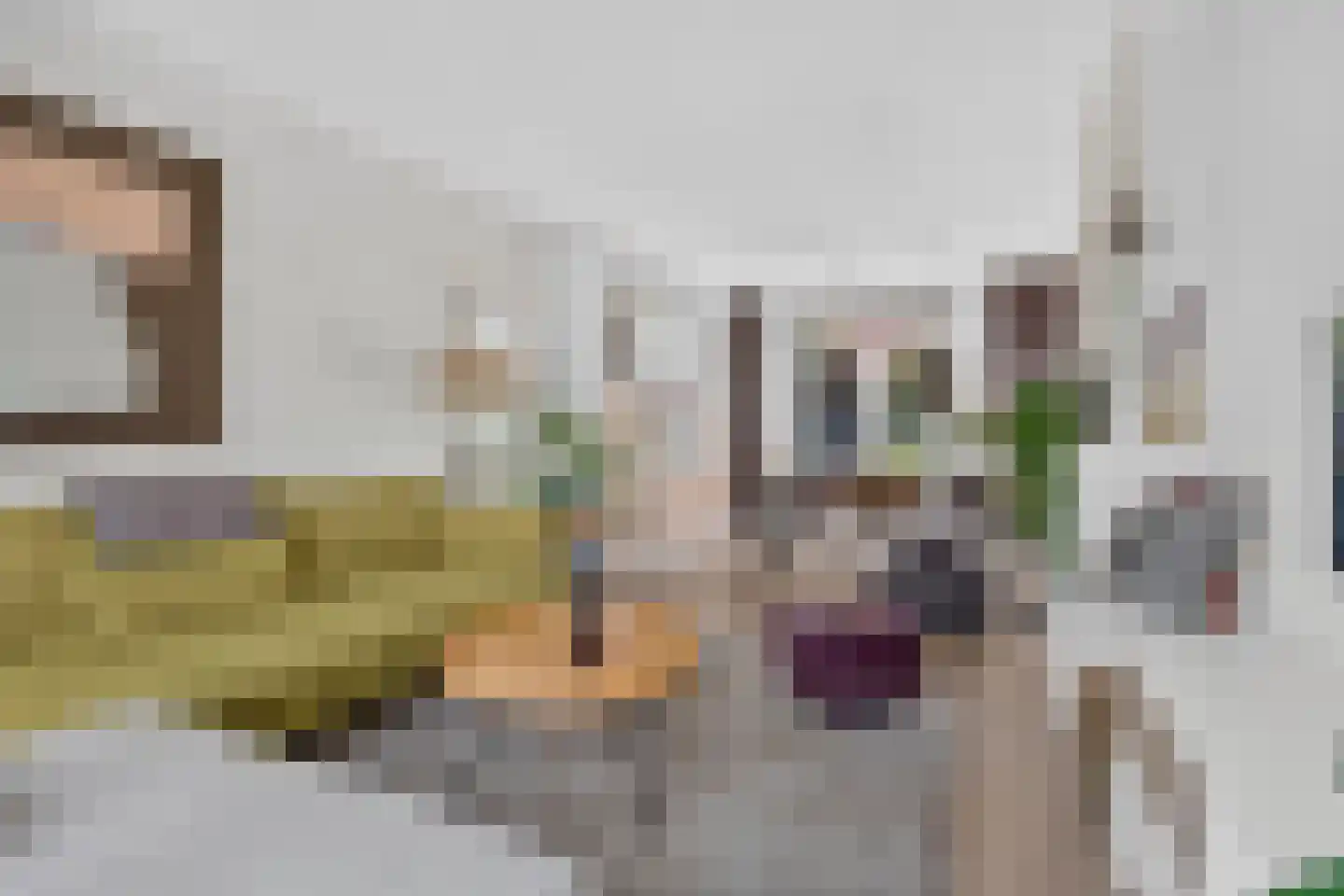 Petrus Dondersstraat 114 Eindhoven thumbnail 16